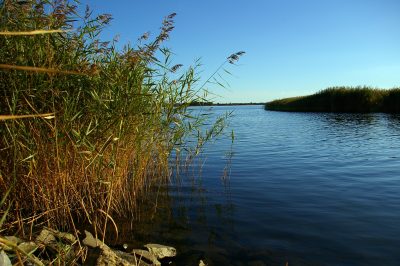 Cum alegi locul de pescuit în funcție de sezon